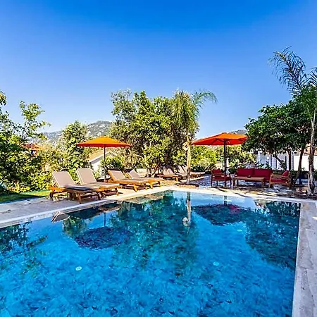 Elizya Boutique Hotel *