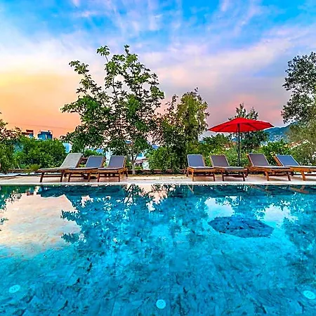 Hotel Elizya Boutique