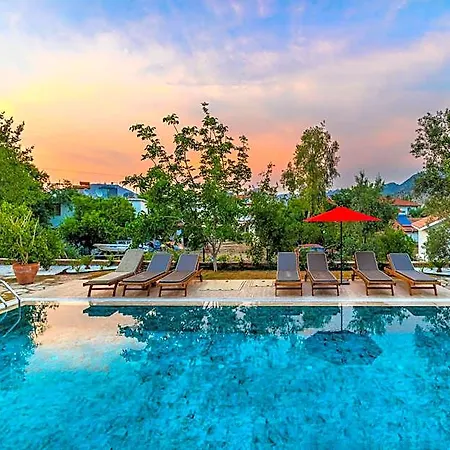 Hotel Elizya Boutique *