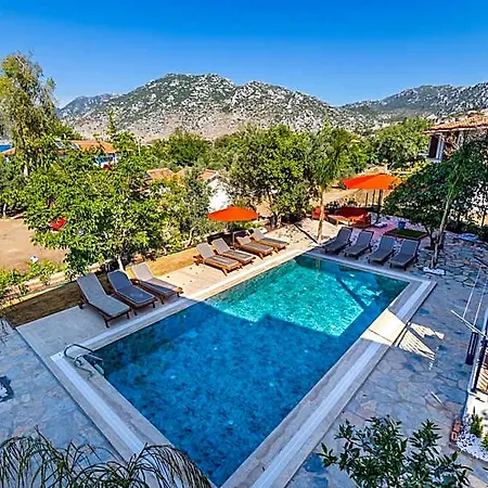 Hotel Elizya Boutique *