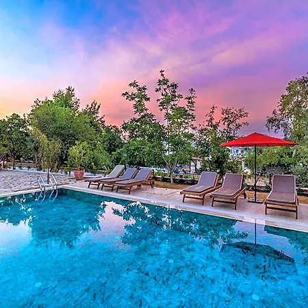 Elizya Boutique Hotel *
