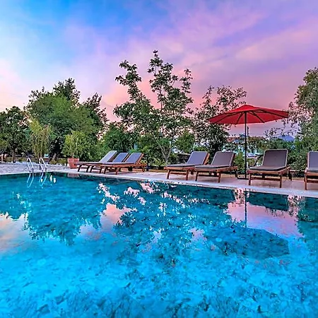 Elizya Boutique Hotel *